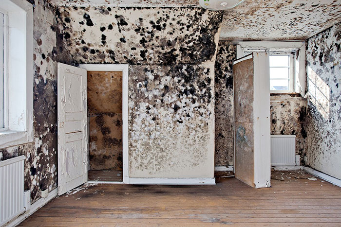 30 photos horribles prises par des agents immobiliers