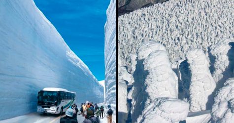 Bienvenue sur « le toit du Japon », la route la plus enneigée du monde
