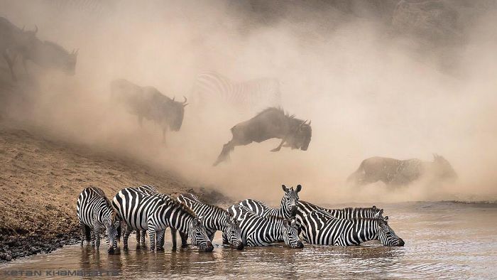 30 plus belles photos du concours de photographie Instagram de National Geographic ! By Ipnoze.com Concours-photographie-instagram-national-geographic-001