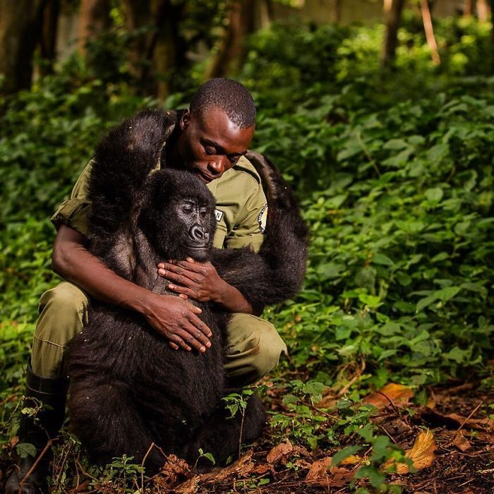 30 plus belles photos du concours de photographie Instagram de National Geographic ! By Ipnoze.com Concours-photographie-instagram-national-geographic-006