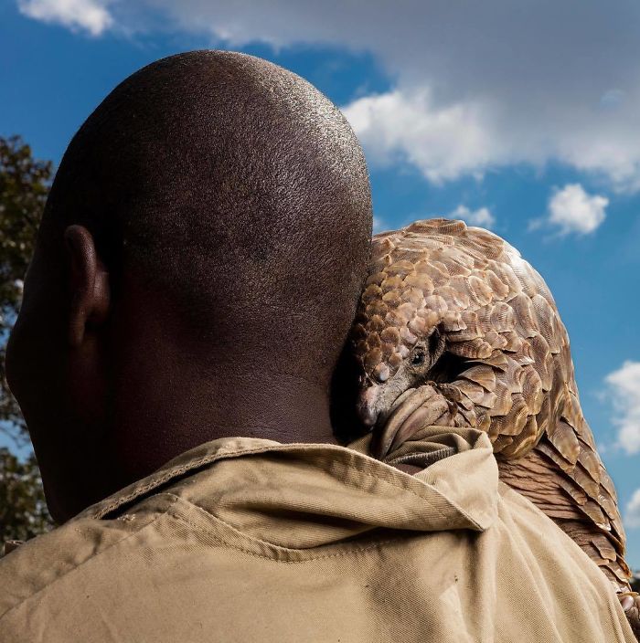 30 plus belles photos du concours de photographie Instagram de National Geographic ! By Ipnoze.com Concours-photographie-instagram-national-geographic-007