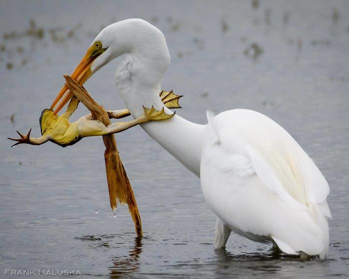 30 plus belles photos du concours de photographie Instagram de National Geographic ! By Ipnoze.com Concours-photographie-instagram-national-geographic-009