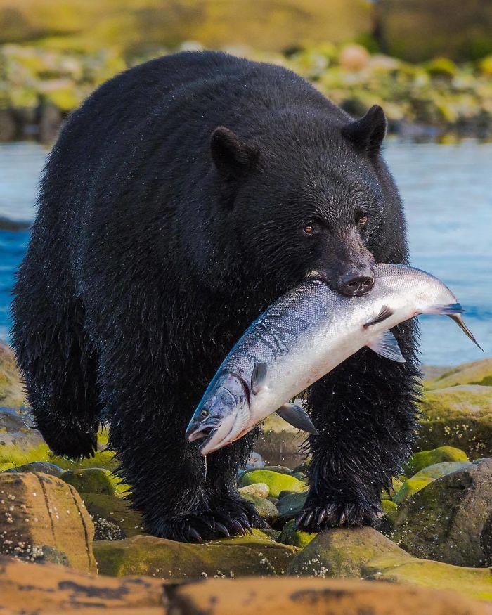 30 plus belles photos du concours de photographie Instagram de National Geographic ! By Ipnoze.com Concours-photographie-instagram-national-geographic-010