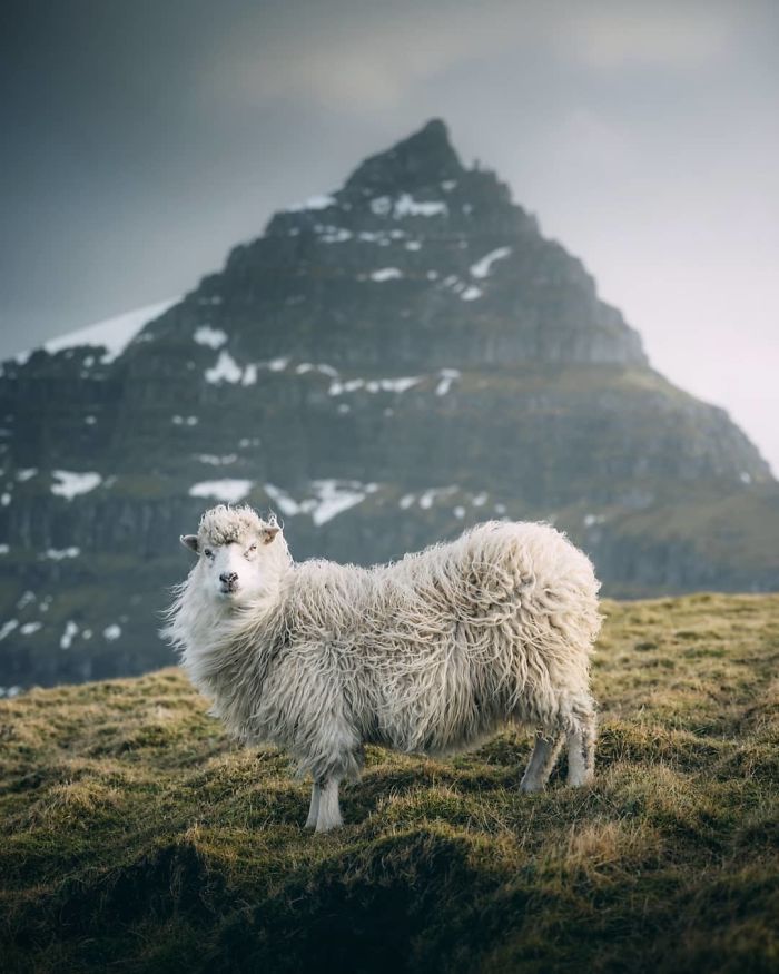 30 plus belles photos du concours de photographie Instagram de National Geographic ! By Ipnoze.com Concours-photographie-instagram-national-geographic-014