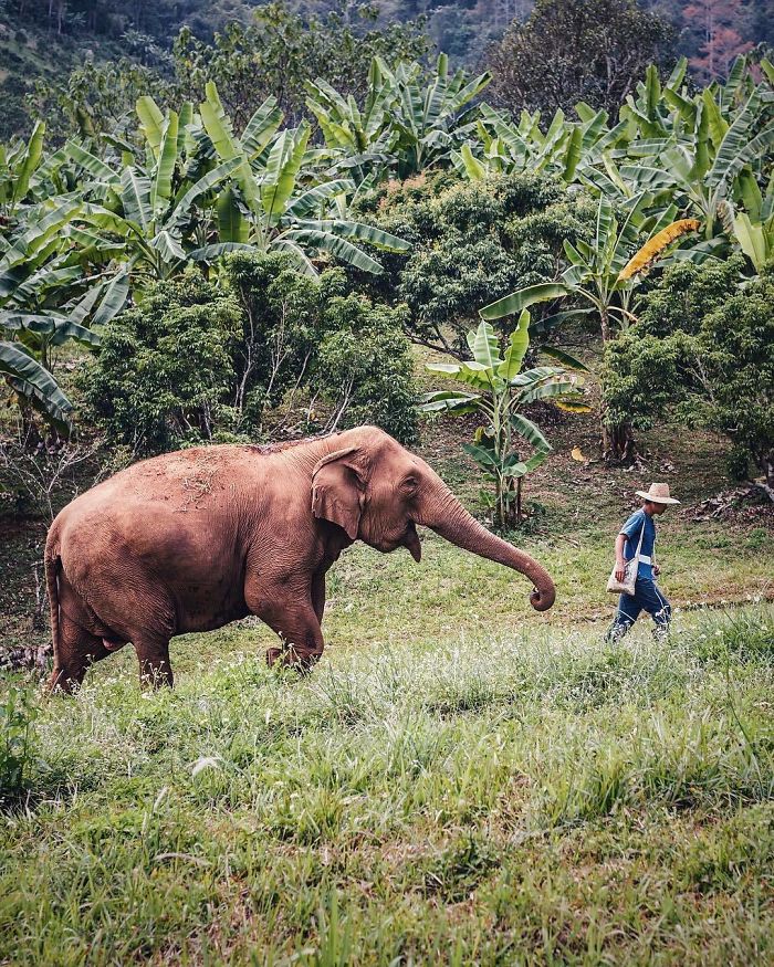 30 plus belles photos du concours de photographie Instagram de National Geographic ! By Ipnoze.com Concours-photographie-instagram-national-geographic-018