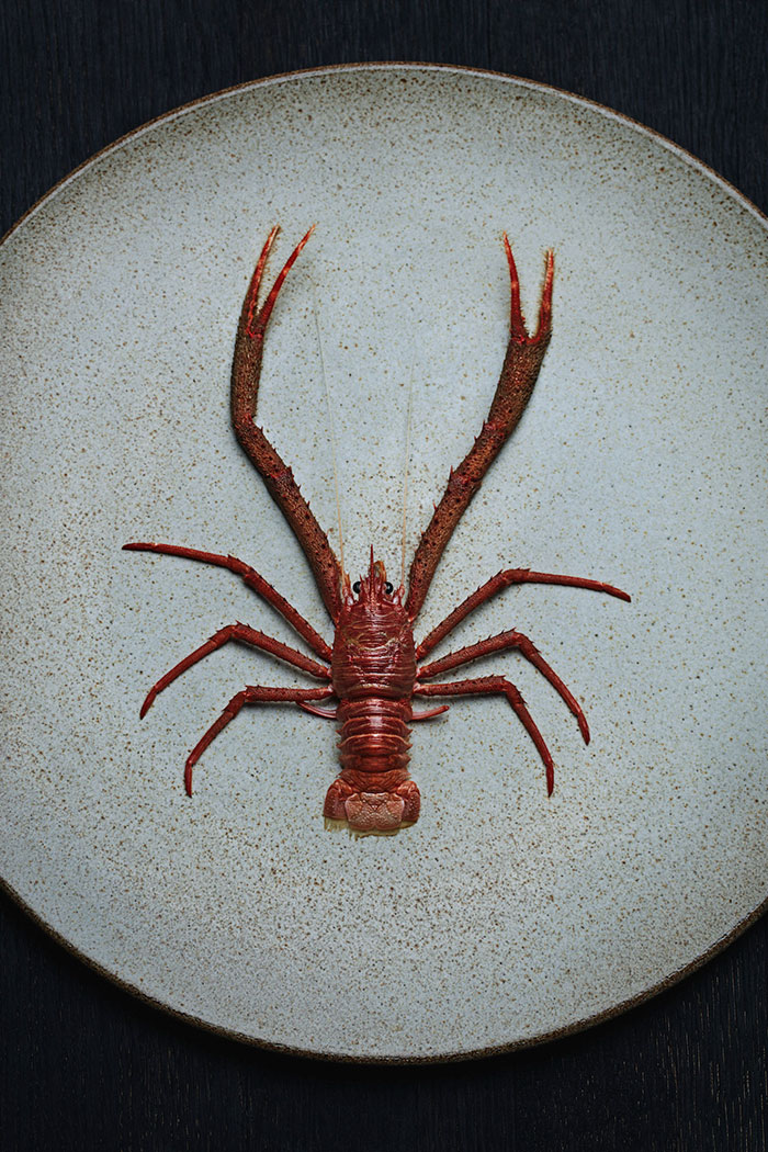 Un restaurant sous-marin a été inauguré en Norvège et il est hallucinant