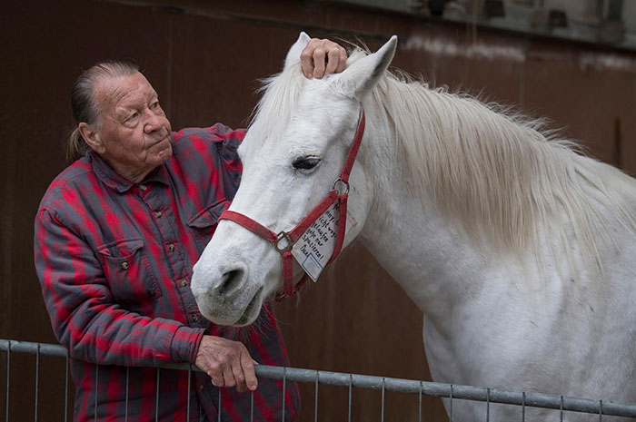Ce cheval se promène seul tous les jours depuis 14 ans et reçoit des câlins et des friandises des résidents