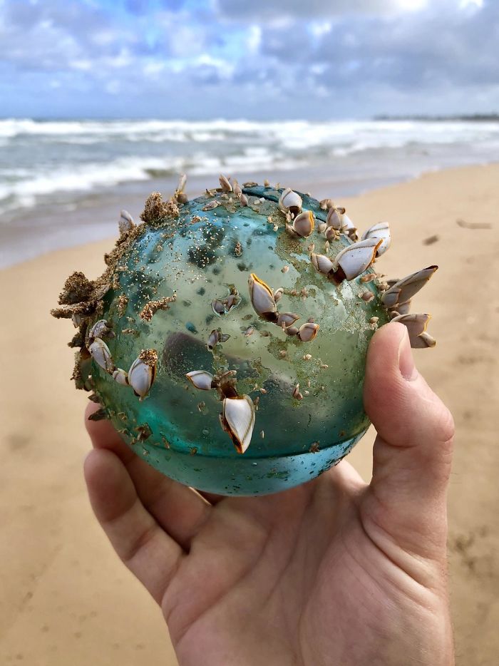 33 choses les plus intéressantes que des gens ont trouvées sur la plage