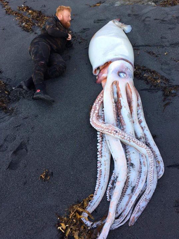 33 choses les plus intéressantes que des gens ont trouvées sur la plage