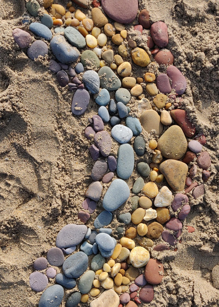 33 choses les plus intéressantes que des gens ont trouvées sur la plage
