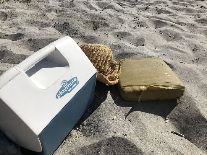 33 choses les plus intéressantes que des gens ont trouvées sur la plage