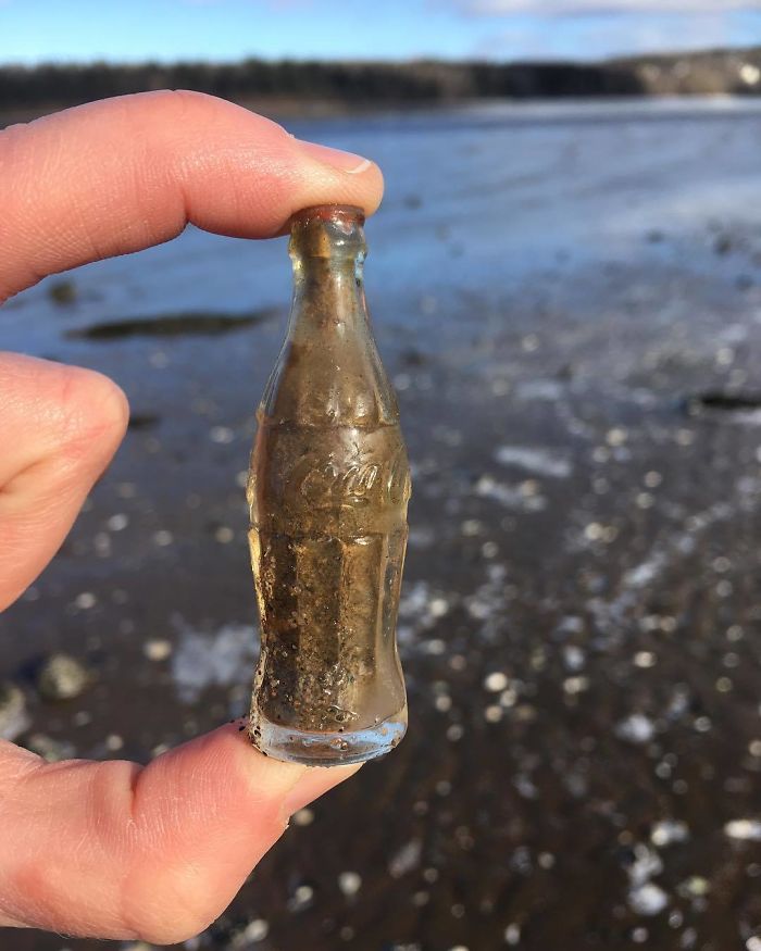 33 choses les plus intéressantes que des gens ont trouvées sur la plage