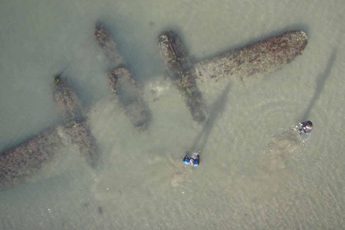 33 choses les plus intéressantes que des gens ont trouvées sur la plage
