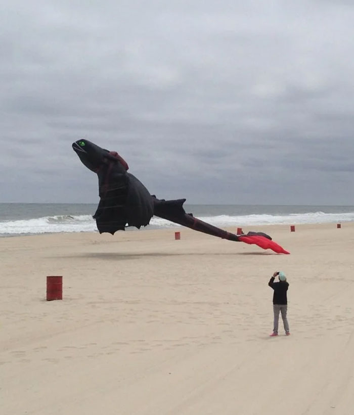 33 choses les plus intéressantes que des gens ont trouvées sur la plage