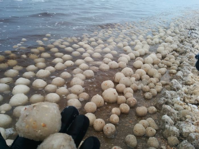 33 choses les plus intéressantes que des gens ont trouvées sur la plage