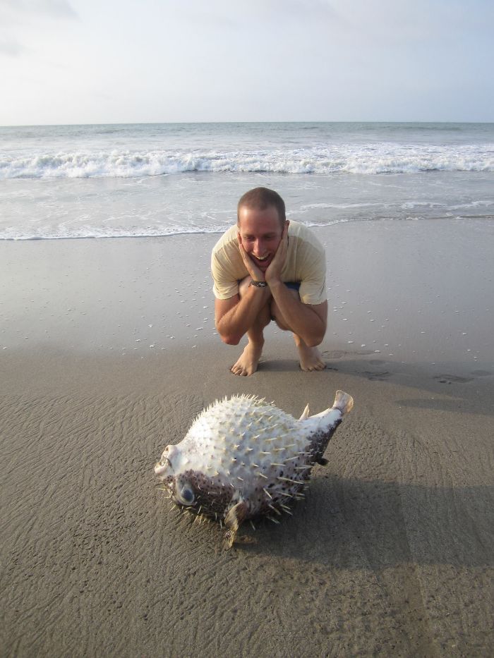 33 choses les plus intéressantes que des gens ont trouvées sur la plage