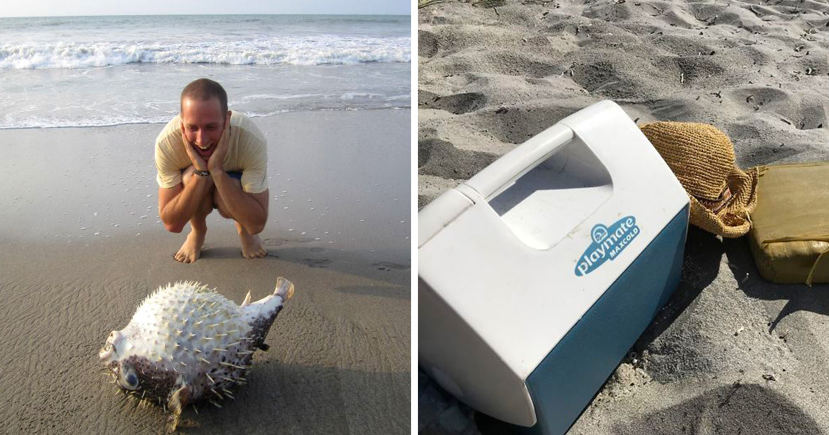 33 choses les plus intéressantes que des gens ont trouvées sur la plage