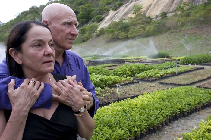 Un photographe et sa femme ont planté 2 millions d’arbres en 20 ans pour reboiser une forêt détruite et même les animaux sont revenus