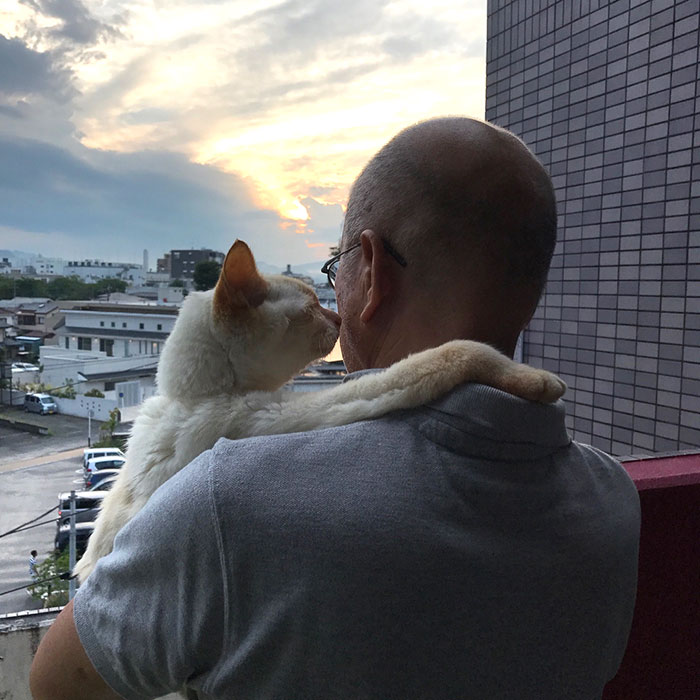 22 photos de papas de chats et leurs amis poilus les plus adorables de tous les temps