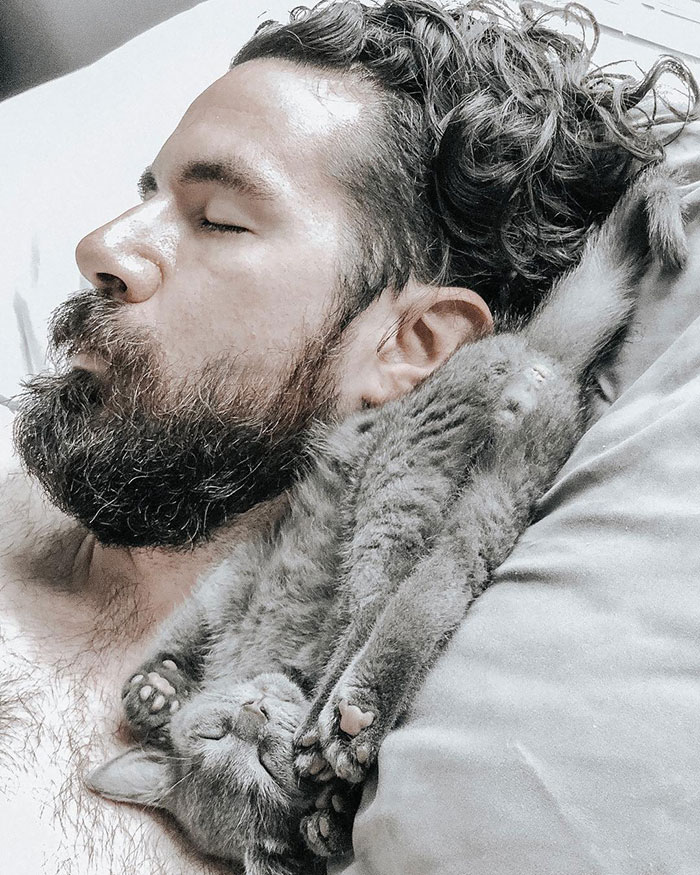 22 photos de papas de chats et leurs amis poilus les plus adorables de tous les temps
