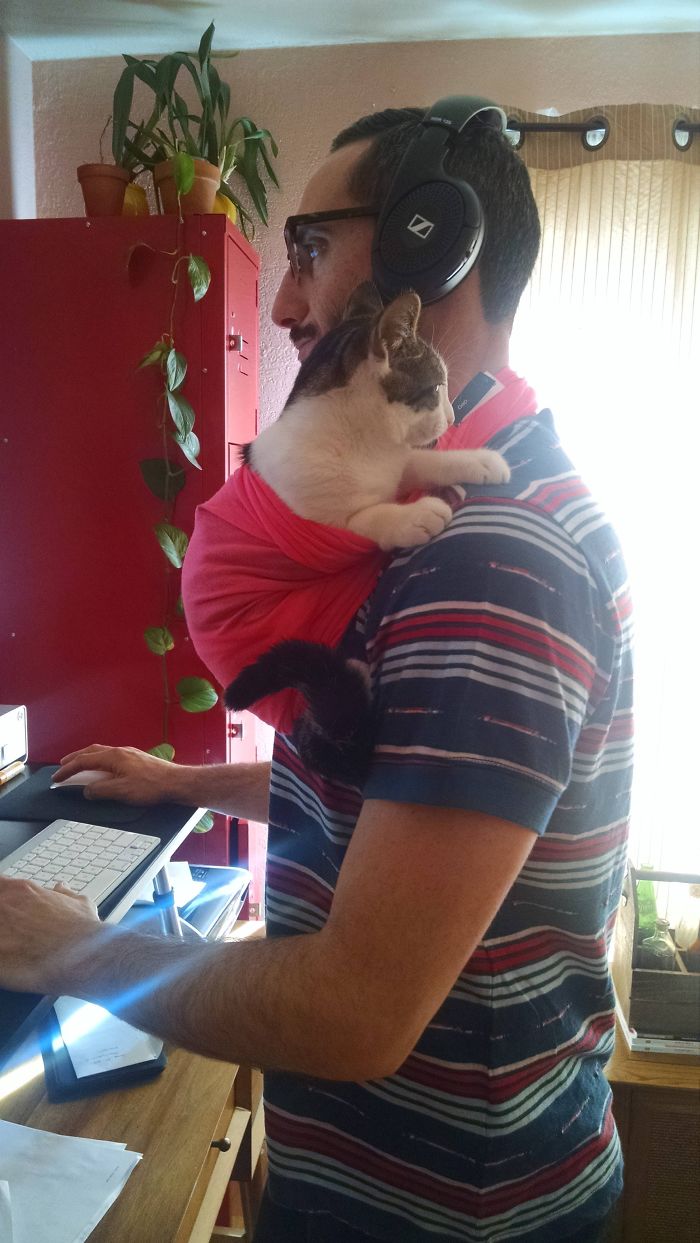22 photos de papas de chats et leurs amis poilus les plus adorables de tous les temps