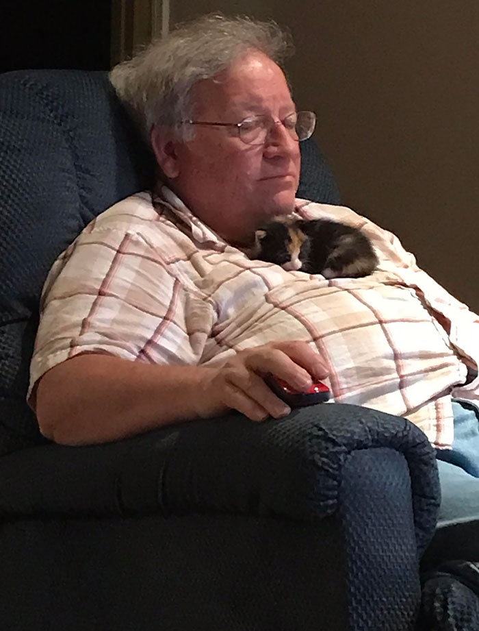22 photos de papas de chats et leurs amis poilus les plus adorables de tous les temps