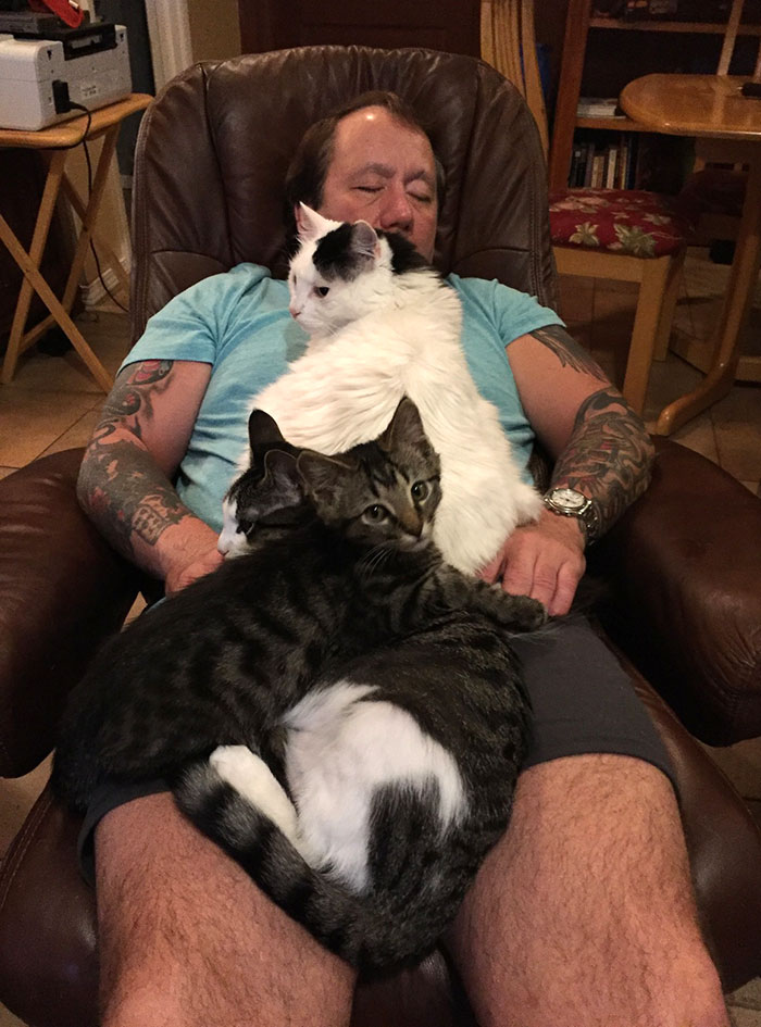 22 photos de papas de chats et leurs amis poilus les plus adorables de tous les temps