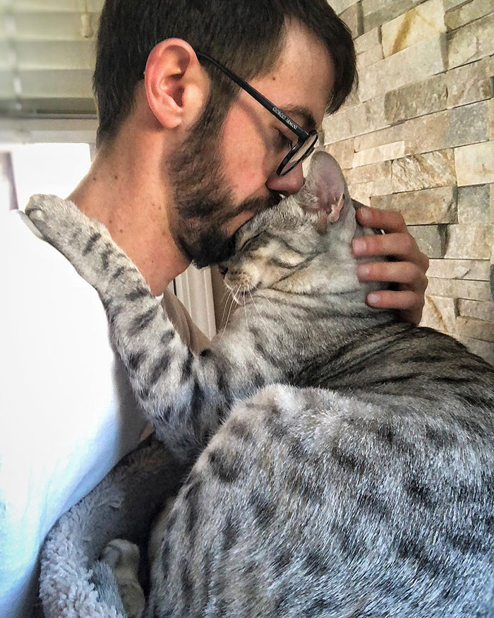 22 photos de papas de chats et leurs amis poilus les plus adorables de tous les temps