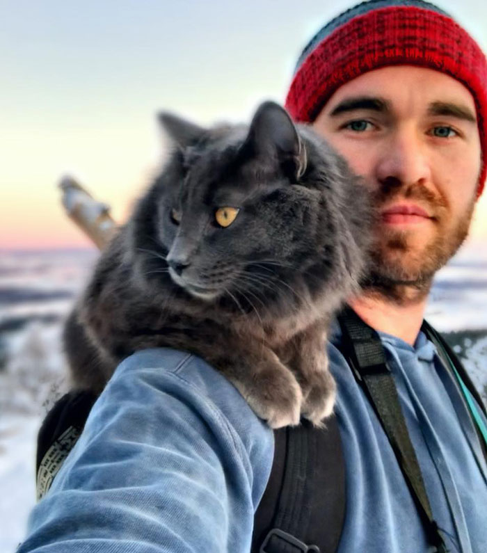 22 photos de papas de chats et leurs amis poilus les plus adorables de tous les temps