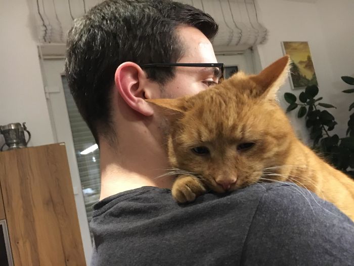 22 photos de papas de chats et leurs amis poilus les plus adorables de tous les temps