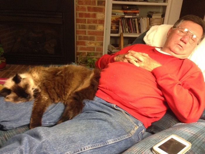 22 photos de papas de chats et leurs amis poilus les plus adorables de tous les temps