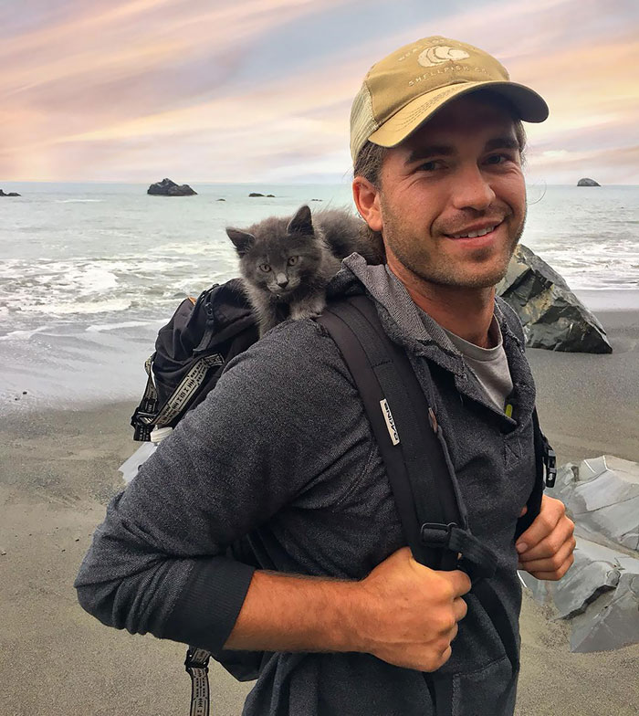 22 photos de papas de chats et leurs amis poilus les plus adorables de tous les temps