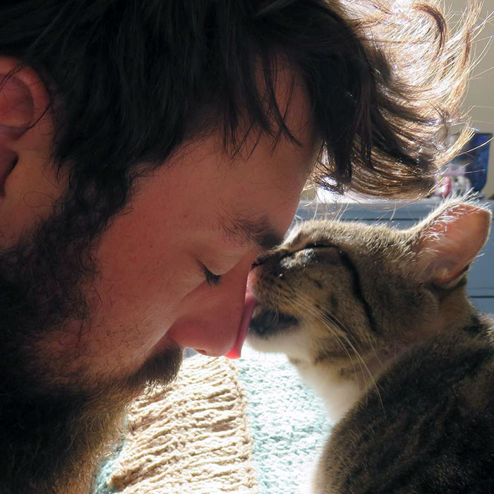 22 photos de papas de chats et leurs amis poilus les plus adorables de tous les temps