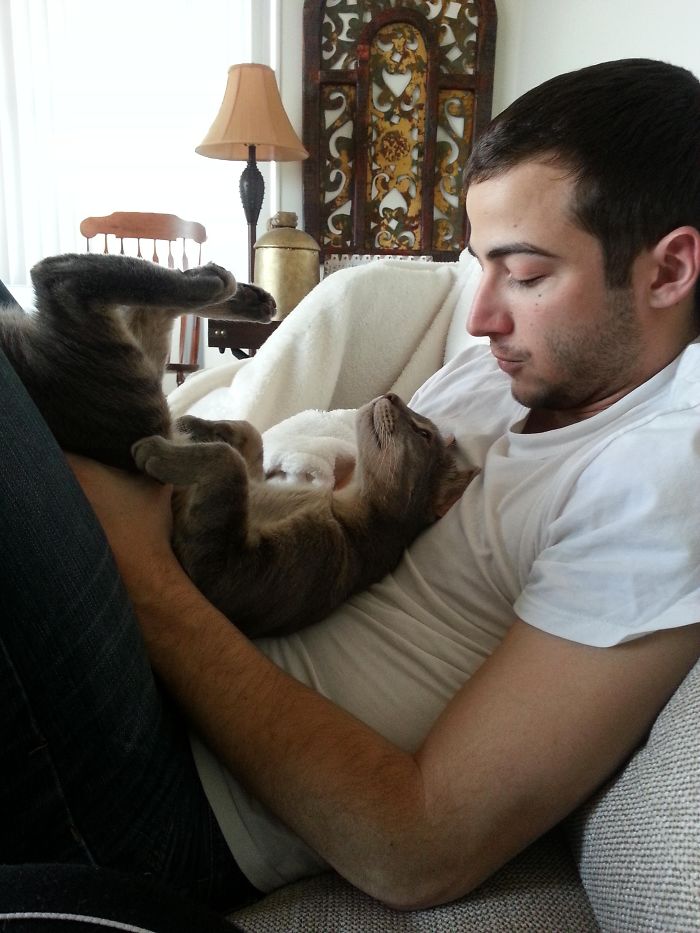 22 photos de papas de chats et leurs amis poilus les plus adorables de tous les temps