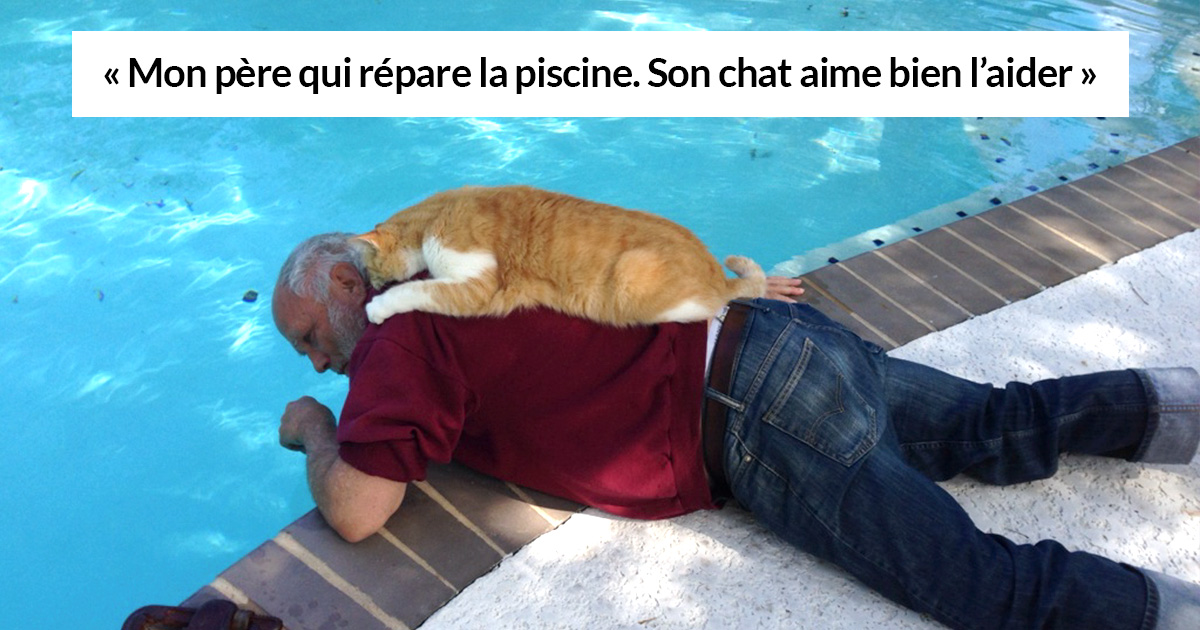 https://www.ipnoze.com/wordpress/wp-content/uploads/2019/04/papas-de-chats.jpg