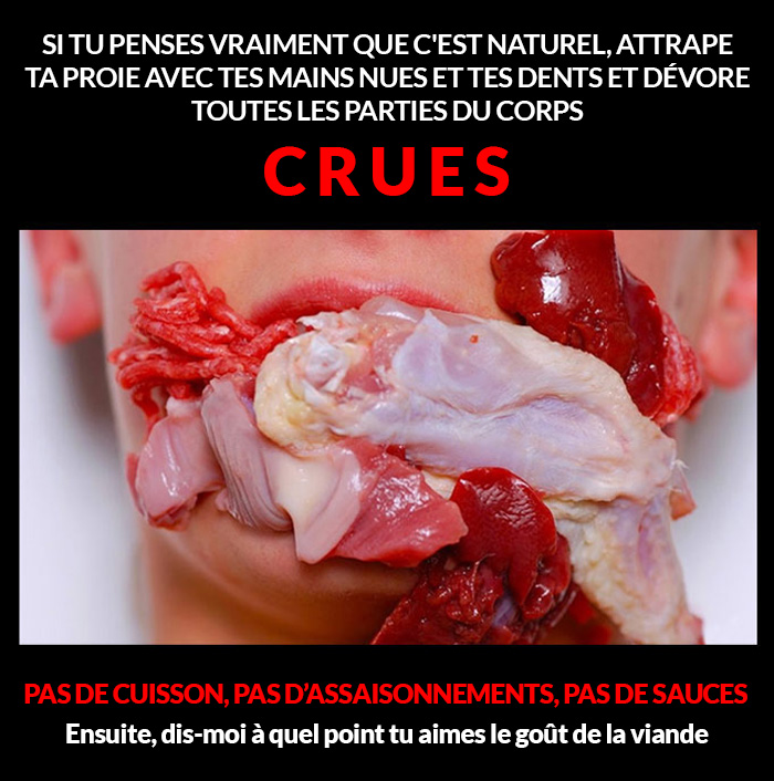 Cette végane a demandé aux gens d’essayer de chasser les animaux et de les manger crus afin de voir à quel point ce n’est pas naturel pour les humains, mais elle s’est fait clouer le bec