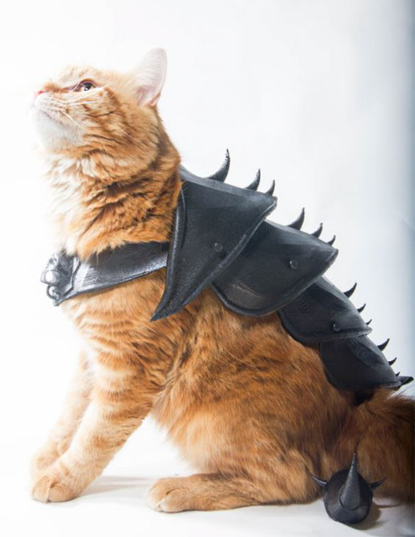 Un Gars A Transforme Son Chat En Vrai Dur A Cuire Avec Cette Armure Imprimee En 3d Ipnoze