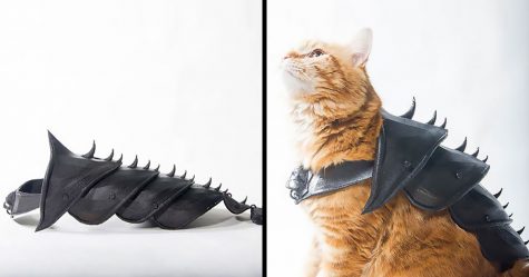Un gars a transformé son chat en vrai dur à cuire avec cette armure imprimée en 3D