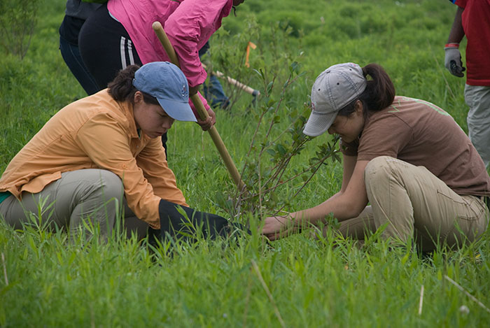 Les étudiants philippins devront planter 10 arbres pour obtenir leur diplôme, ce qui donnera 525 millions de nouveaux arbres en une génération