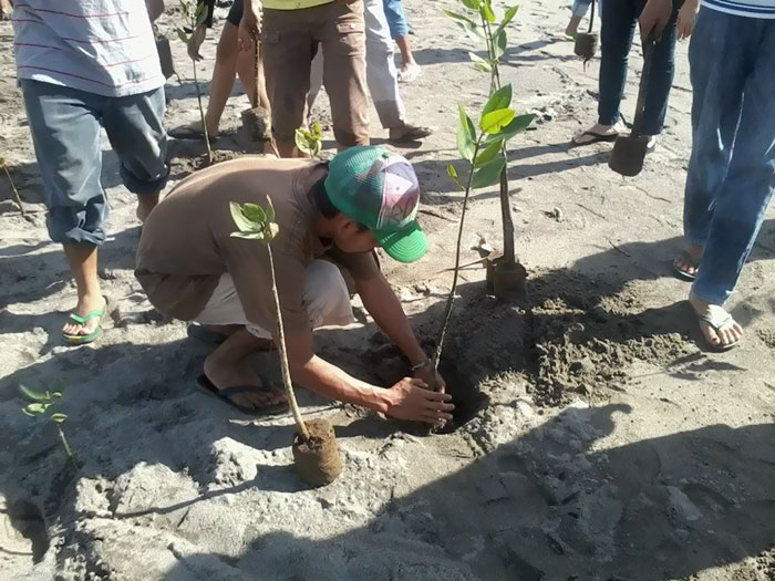 Les étudiants philippins devront planter 10 arbres pour obtenir leur diplôme, ce qui donnera 525 millions de nouveaux arbres en une génération