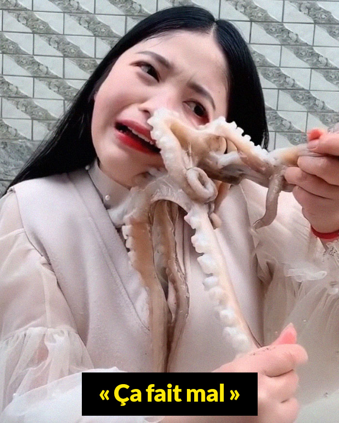 Une pieuvre attaque une femme qui a essayé de la manger vivante