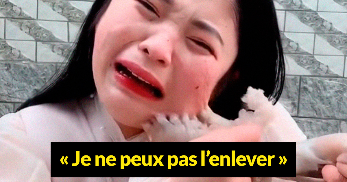 Une pieuvre attaque une femme qui a essayé de la manger vivante