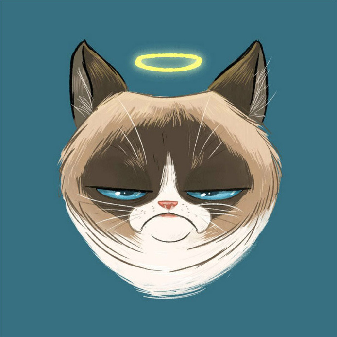 Grumpy Cat est morte à 7 ans