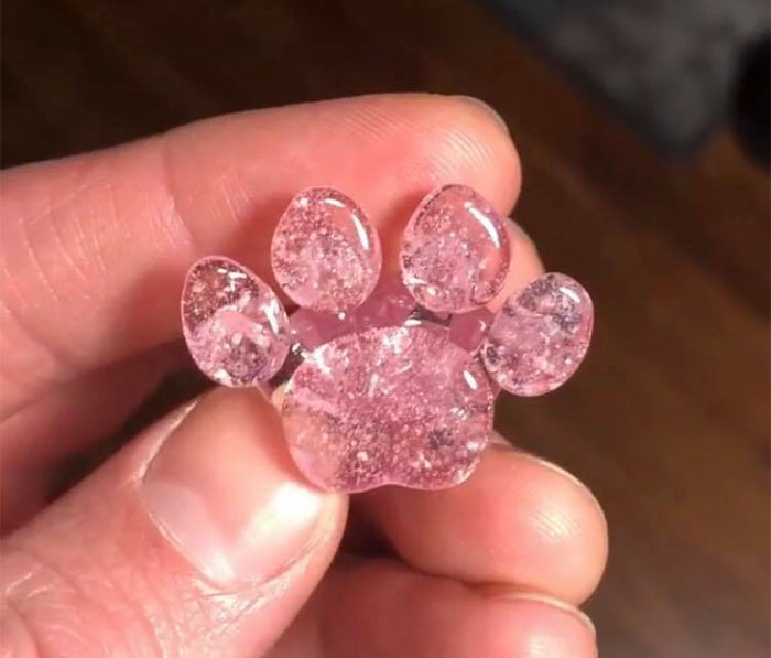 Cette entreprise transforme les cendres de vos animaux de compagnie en pattes de verre servant à commémorer vos êtres chers à tout jamais