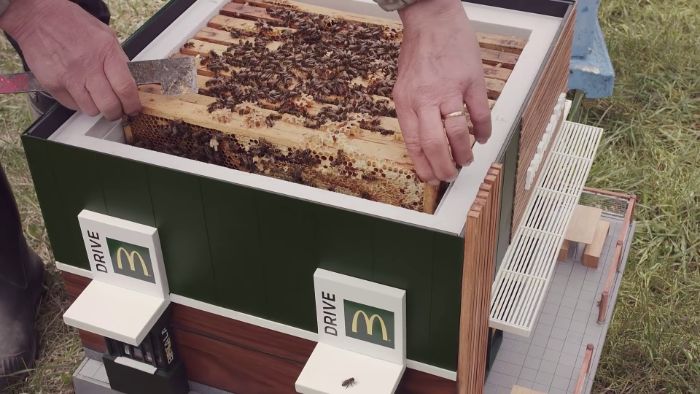 McDonald’s ouvre un minuscule restaurant pour les abeilles