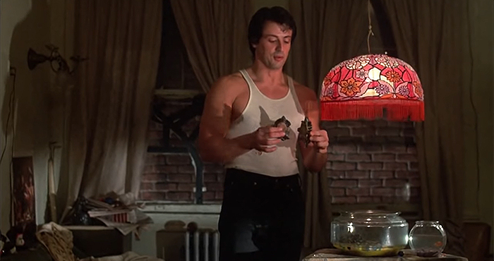Les deux tortues qui ont été présentées dans « Rocky » sont toujours vivantes et voici Stallone avec elles 45 ans plus tard