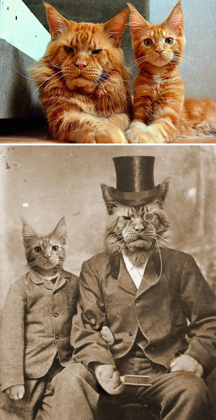 22 gagnants des meilleures batailles de Photoshop de tous les temps (nouvelles images)