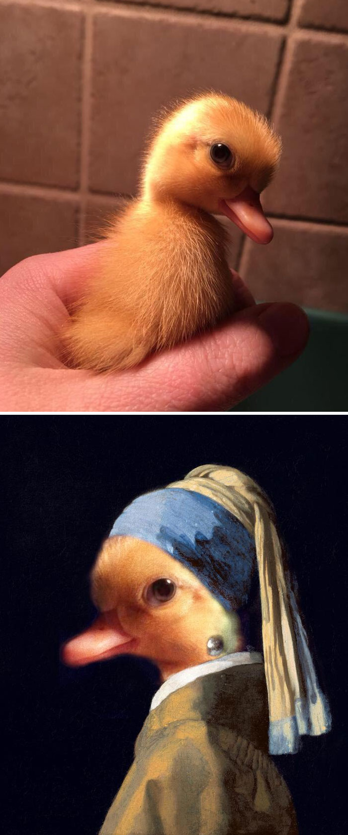 22 gagnants des meilleures batailles de Photoshop de tous les temps (nouvelles images)