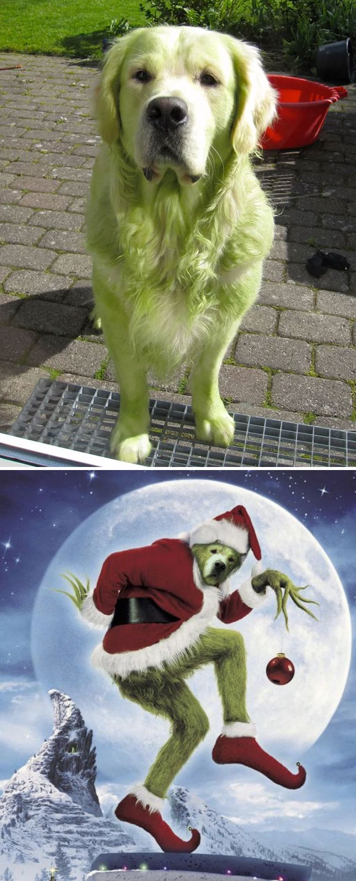 22 gagnants des meilleures batailles de Photoshop de tous les temps (nouvelles images)