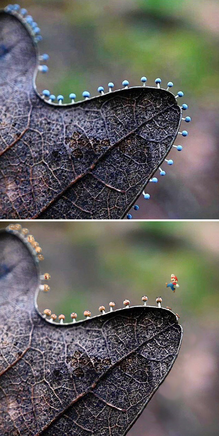 22 gagnants des meilleures batailles de Photoshop de tous les temps (nouvelles images)